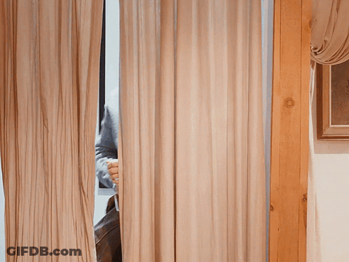 Man Peeking Through Curtain Saying I'm Gay GIF