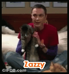 Man Petting Cat Lazzy GIF
