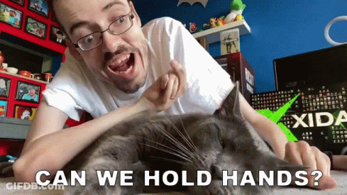 Man Petting Cat Saying Can We Hold Hands GIF
