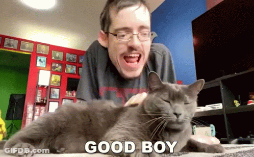 Man Petting Gray Cat Saying Good Boy GIF