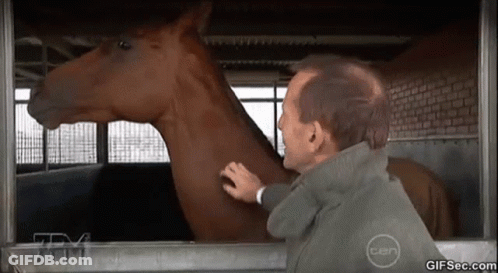 Man Petting Horse In Trailer With Ten Logo GIF