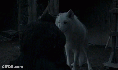 Man Petting White Bear In Dark Room GIF