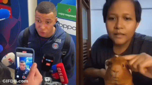 Man Photographing Woman Holding Guinea Pig GIF