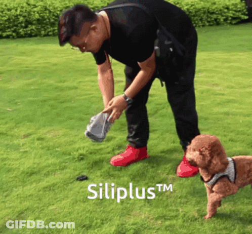 Man Picking Up Dog Poop With Siliplus TM GIF
