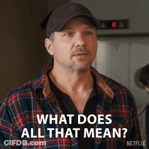 Man Plaid Shirt Cap What Does That Mean GIF