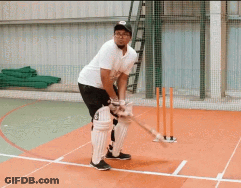 Man Playing Cricket With Bat GIF