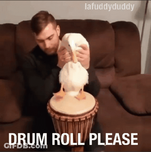 Man Playing Drum With Duck Drum Roll Please GIF