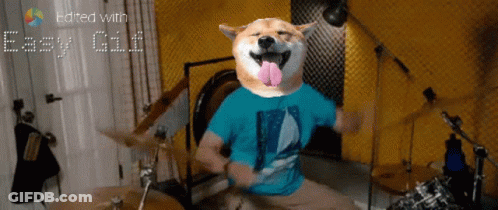 Man Playing Drums With Dog Head GIF