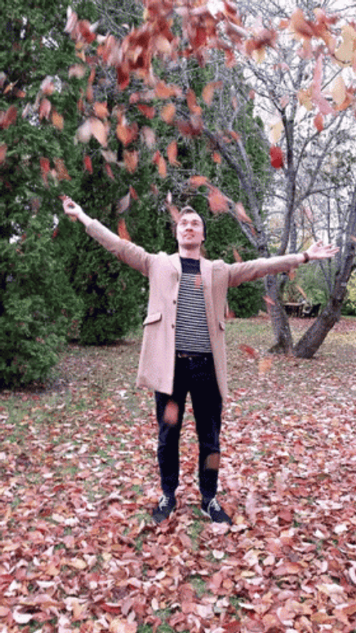 Man Playing Falling Leaves GIF