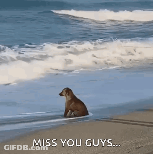 Man Playing Flute With Mouse On Shoulder GIF