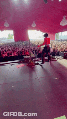 Man Playing Guitar In Crowd GIF