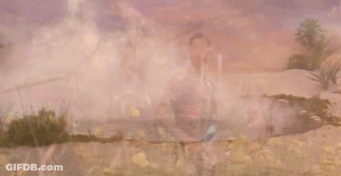 Man Playing Guitar In Dandelion Field GIF