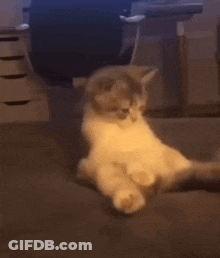 Man Playing Guitar In Front Of Greta Van Fleet GIF
