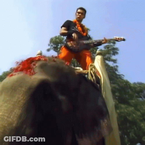 Man Playing Guitar On Elephant GIF