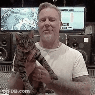 Man Playing Guitar On Stage GIF