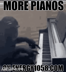 Man Playing Piano Saying More Pianos GIF