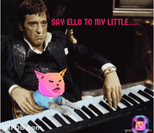 Man Playing Piano With Cat GIF