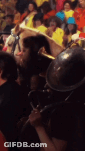 Man Playing Trumpet In Crowd GIF