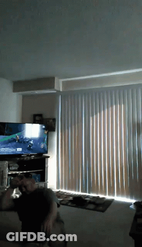 Man Playing Video Game On Flat Screen TV GIF