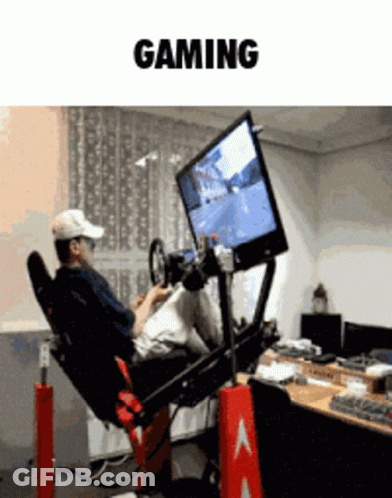 Man Playing Video Game Saying Gaming GIF
