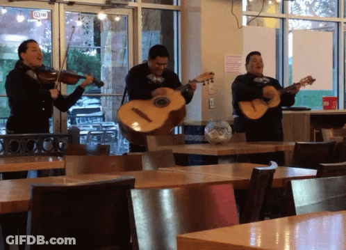 Man Playing Violin And Women Playing Guitars GIF