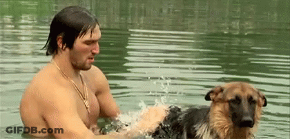 Man Playing With German Shepherd In Water GIF