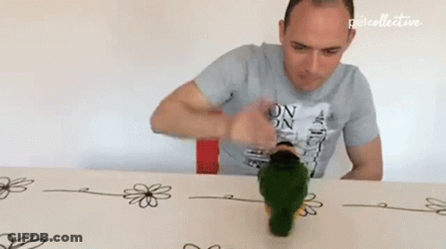 Man Playing With Parrot Wearing On On Shirt GIF