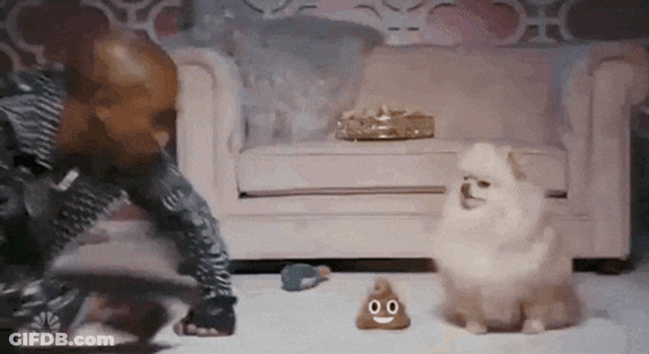 Man Pointing At Poop Beside His Dog GIF