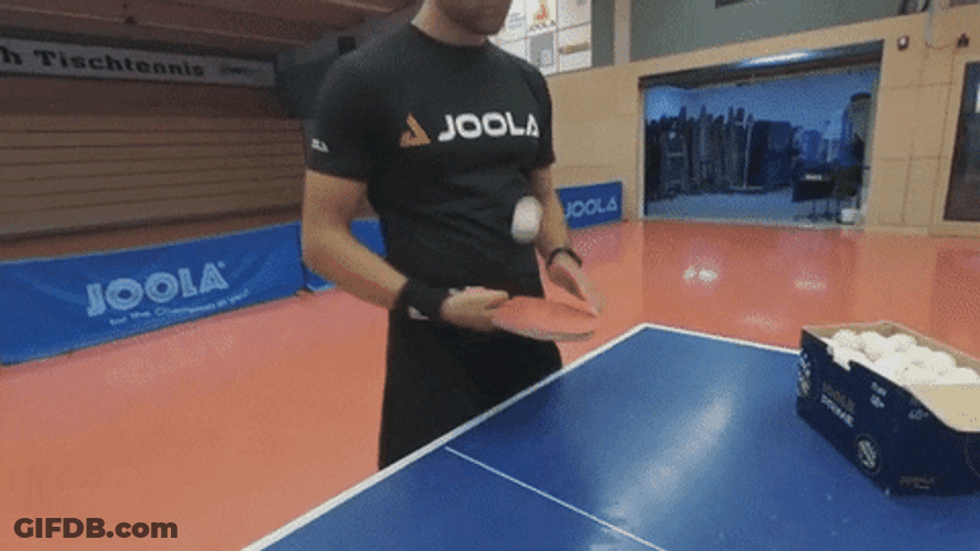 Man Practice Table Tennis Alone GIF
