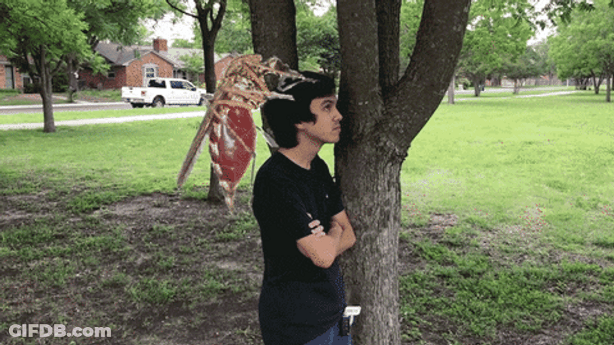 Man Punched Mosquito GIF
