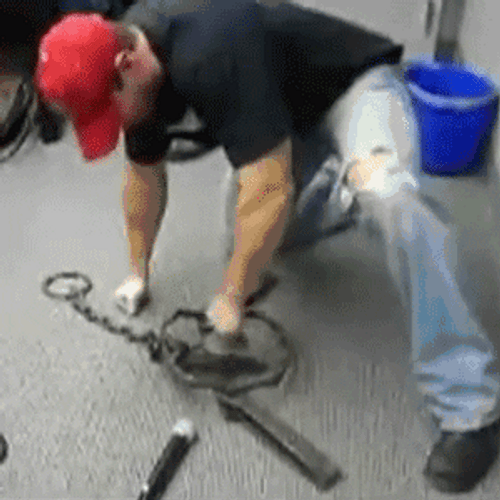 Man Punches Bear Trap GIF