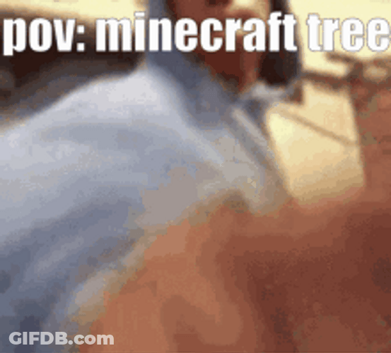 Man Punching Minecraft Tree Pov GIF