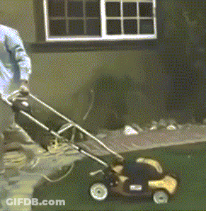 Man Pushing Lawn Mower GIF