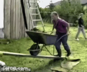 Man Pushing Wheelbarrow In Yard GIF