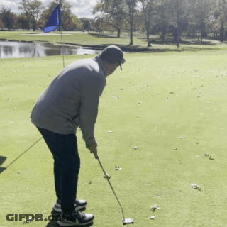 Man Putting Golf Ball GIF