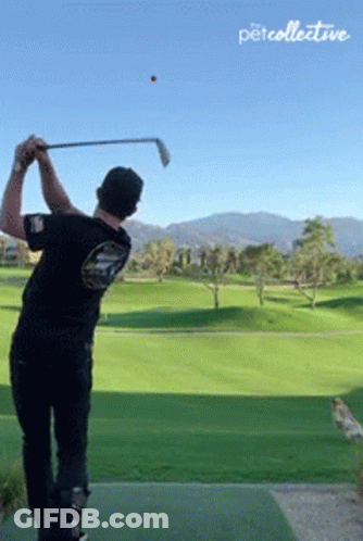Man Putting Golf Ball On Golf Course GIF
