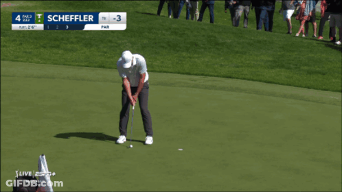 Man Putting Golf Ball On Green GIF