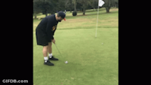 Man Putting Golf Ball On Green GIF