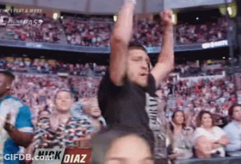 Man Raising Arms At Sports Game GIF