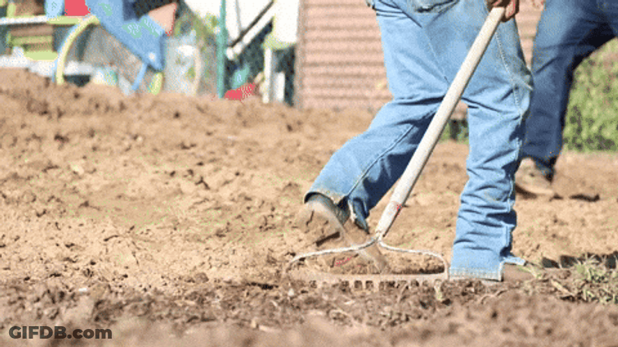 Man Raking Mulch GIF