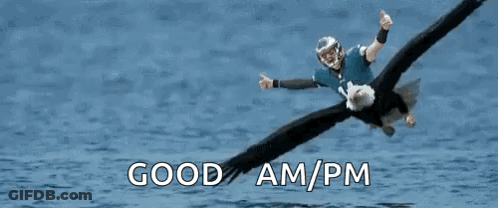 Man Riding Bald Eagle In Ocean GIF
