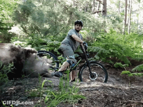 Man Riding Bike In Woods GIF