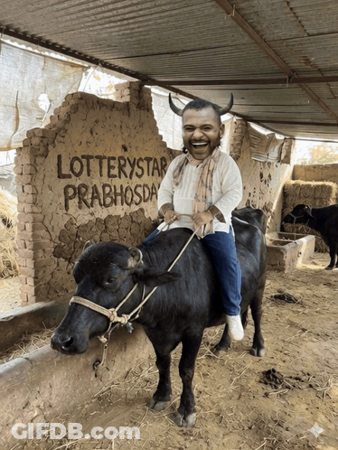 Man Riding Buffalo In Front Of Lotterystar Prabhosda GIF
