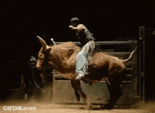 Man Riding Bull In Dark Arena GIF