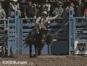 Man Riding Bull In Front Of Ram Logo GIF