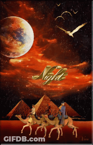 Man Riding Camel Caravan Saying Night GIF