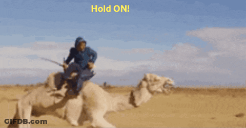 Man Riding Camel We're Halfway To Friday GIF