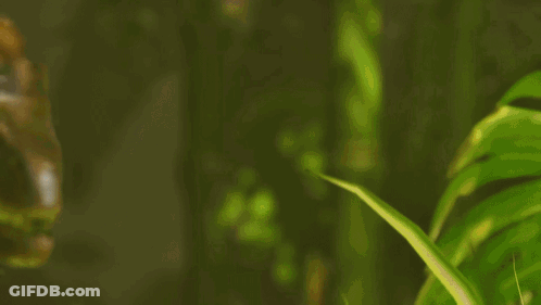 Man Riding Dinosaur Holding Gun GIF