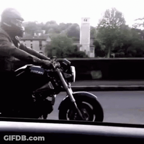 Man Riding Ducati Motorcycle GIF