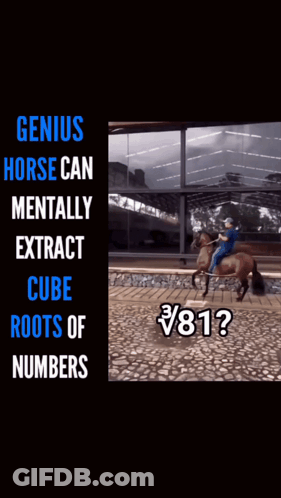 Man Riding Genius Horse Cube Roots GIF